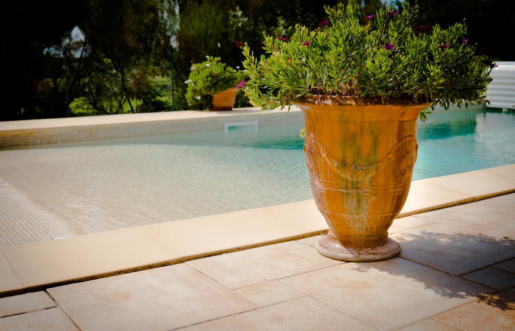 Le Clos De L'Olivade Saint-Just  Eksteriør billede